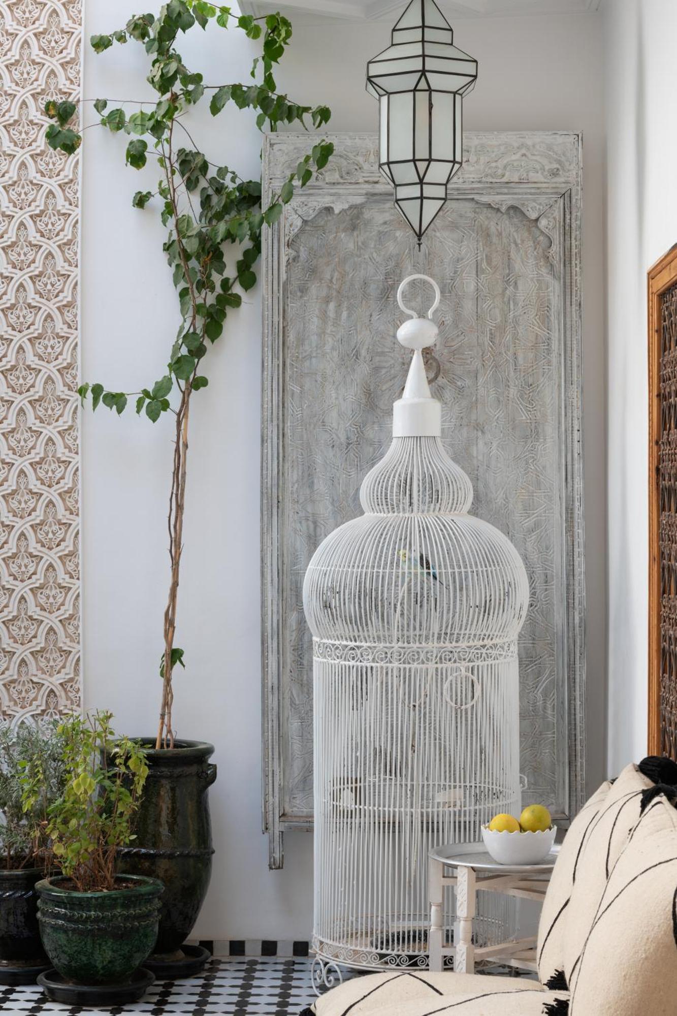 Riad Botanica Marakéš Exteriér fotografie